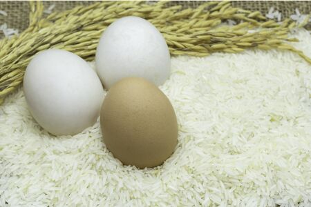 white Eggs and brown egg on jusmine riceの写真素材