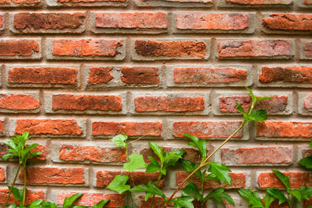 red brick wallの写真素材