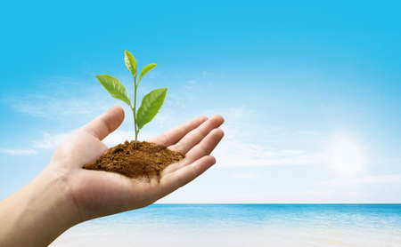 Plant in human hand against blue sky.の写真素材