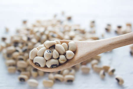 Ingredient : Bean seedの写真素材