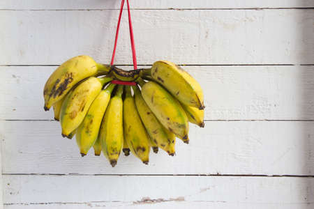 Fresh bananaの写真素材