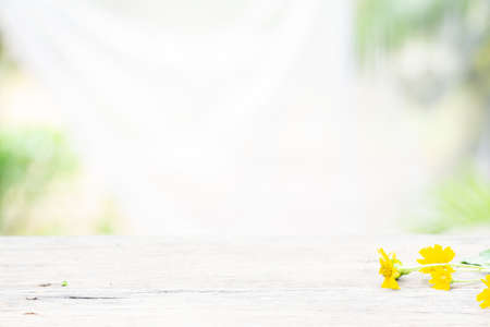 Wooden table on nature garden background for presentation productの写真素材