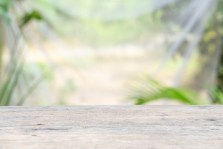 Wooden table on nature garden background for presentation productの写真素材