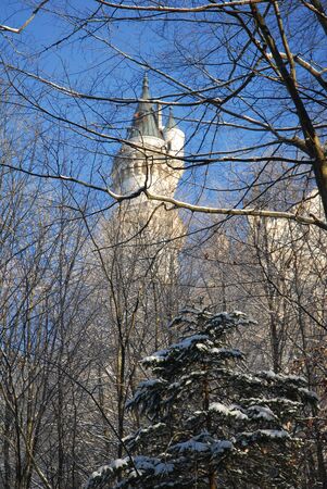 tower behind treesの写真素材