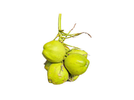 Bunch of fresh green Coconuts over white background