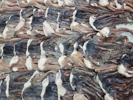 fresh a lot of part of octopus for sell in a supermarket in Thailand.