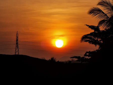 orange sunset with tree shadow