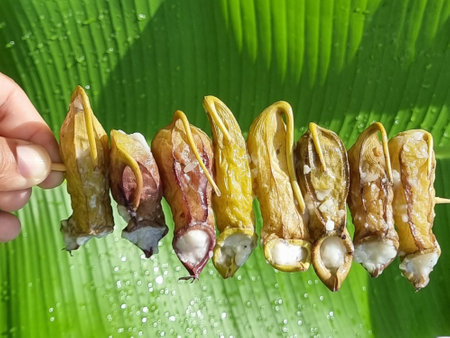 Sticky rice with coconut milk in a Nepenthes pot on a skewer. Strange and rare food. The background is green banana leavesの写真素材