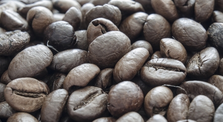 coffee beans close upの写真素材