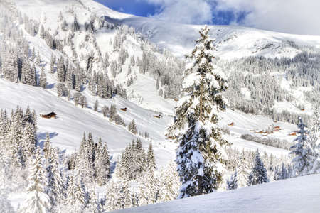 Beautiful view to winter Swiss Alps, Berner Oberland, Adelboden の写真素材