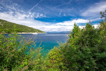 Beach scenery with pine tree in Croatia, Istria, Europeの写真素材