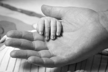 Newborn baby hand held by his fatherの写真素材
