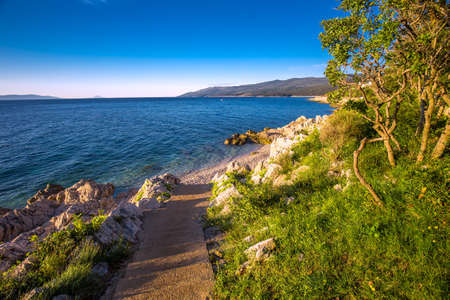 Amazing beach with crystalic clean sea water with pine trees over the Adriatic sea, Istria, Croatiaの写真素材