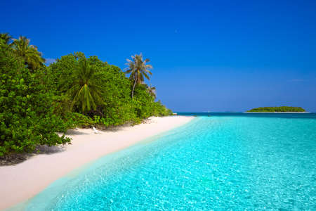 Tropical island with sandy beach with palm trees and turquoise clear water