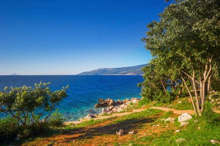 Amazing rocky beach with crystalic clean sea water with pine trees on the coast of Adriatic Sea, Istria, Croatiaの写真素材