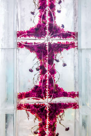 Frozen red flowers creating beautiful ornament inside the ice cubeの写真素材