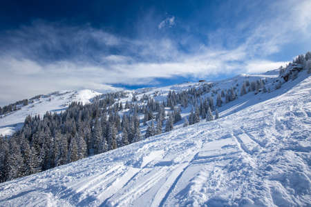 Trees covered by fresh snow in Alpine mountains - Austria from Kitzbuehel ski resort - one of the best ski resort in the workd with 54 cable cars, 170 km prepared skiing slopes and place of famous Hahnenkamm race, Tyrol, Austriaの写真素材