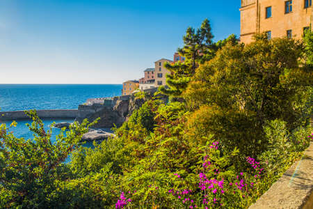 View to Bastia old city center, lighthouse and port. Bastia is second biggest town on Corsica,...