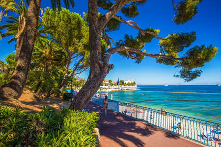 Beach promenade in the Beaulieu-sur-mer village with palm trees, pine trees and azure clear water, cote dazur, French riviera, France, Europe.の写真素材