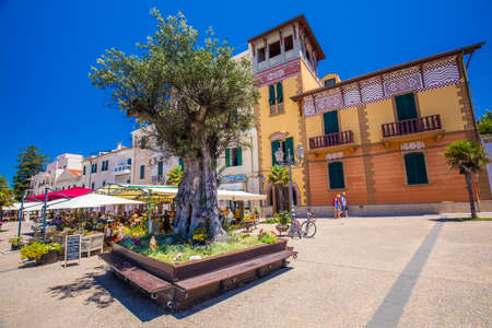 ALGHERO, SARDINIA - August 2017 - Alghero old city center with olive tree and colorful houses, Alghero, Sardinia, Italy, Europe.のeditorial素材