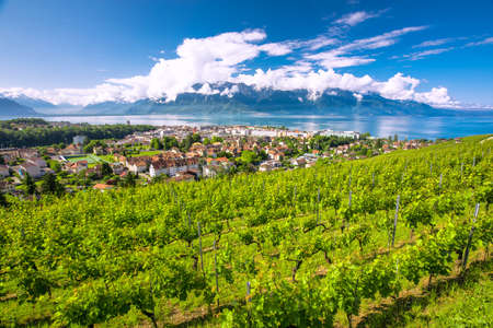 Panorama view of Montreux city with Swiss Alps, lake Geneva and vineyard on Lavaux region, Canton Vaud, Switzerland, Europe.の写真素材