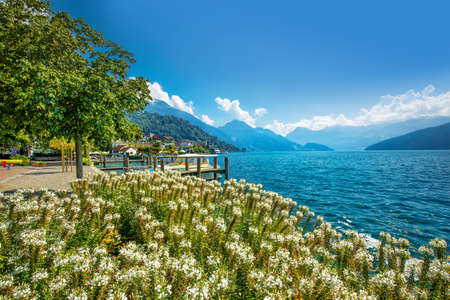 WEGGIS, SWITZERLAND - August 20, 2018 - Village Weggis, lake Lucerne (Vierwaldstatersee), Pilatus mountain and Swiss Alps in the background near famous Lucerne (Luzern) city, Switzerlandのeditorial素材