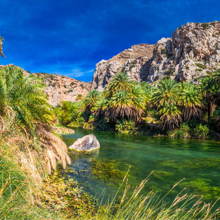 Palm forest on Preveli beach, Crete, Greece, Europe. Crete is the largest and most populous of the Greek islands.の写真素材