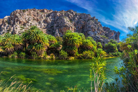 Palm forest on Preveli beach, Crete, Greece, Europe. Crete is the largest and most populous of the Greek islands.の写真素材