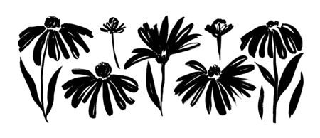 Chamomile hand drawn paint vector set. Ink drawing flowers and plants, monochrome artistic botanical illustration. Isolated floral elements, hand drawn illustration. Brush strokes silhouette.のイラスト素材