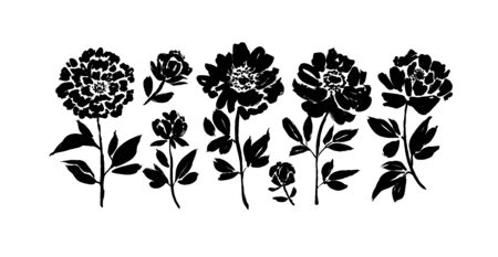 Peony and anemones hand drawn paint vector set. Ink drawing flowers and plants, monochrome artistic botanical illustration. Isolated floral elements, hand drawn illustration. Brush strokes silhouette.のイラスト素材