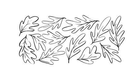 Hand drawn simple black vector oak leaves.のイラスト素材