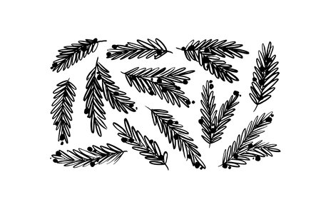 Fir tree branches with balls isolated on white.のイラスト素材