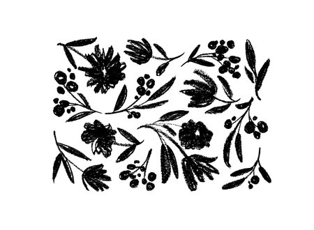 Hand drawn charcoal flowers on white background.のイラスト素材