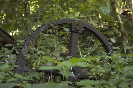 rusty gear wheel in green environmentの写真素材