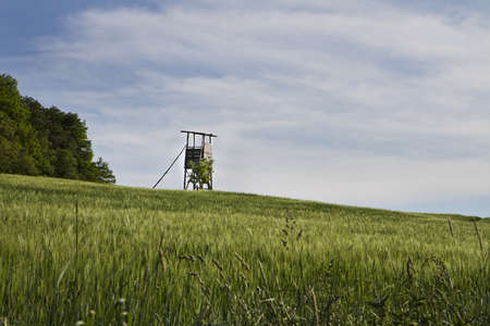 rural scene in south germany with trees and fieldsの写真素材