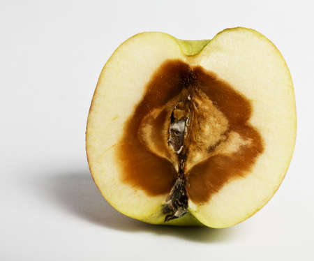 stinky apple devided. rotten from the insideの写真素材