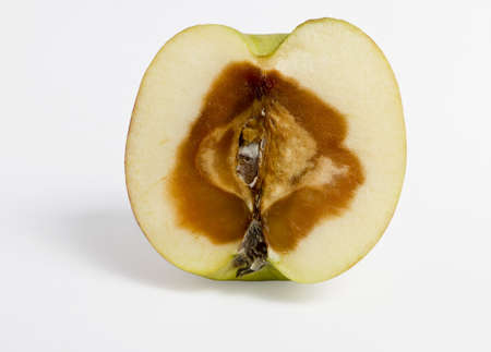 feculent apple - rotten from the centerの写真素材