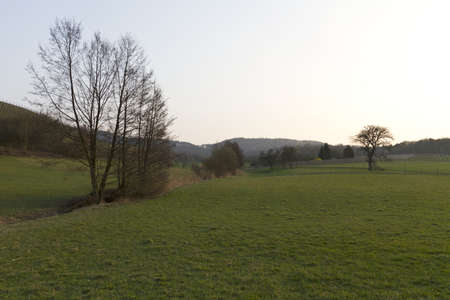 landscape with meadow and trees in the evening. south germanyの写真素材