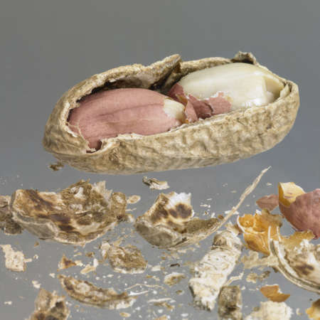 half peeled peanut in grey back