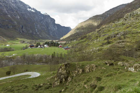 deep green valley  in norwayの写真素材