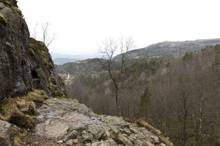 small plateau in the mountains of norway with forest in backgroundの写真素材