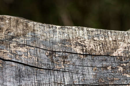 close up of old weathered piece of woodの写真素材