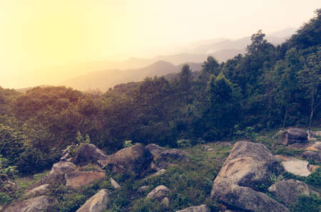 vintage forest background on top view in mountain