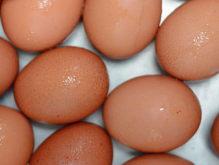 eggs raw for background