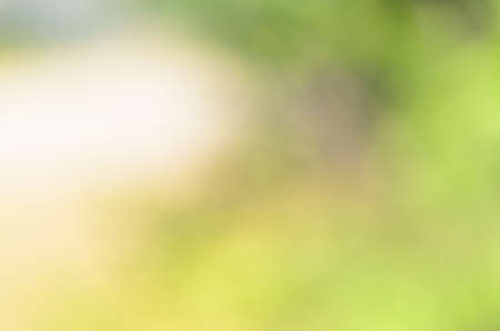 Abstract light nature backgroundの写真素材