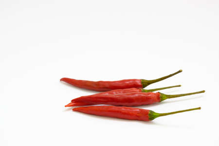 Chilli un fresh on white backgroundの写真素材