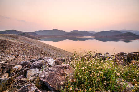 Flower of glass blooming near rock at damの写真素材