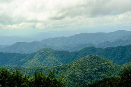 Forest mountain and cloud a scenic landscape viewの写真素材