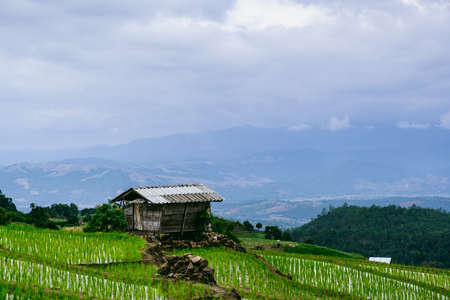 Hut in rice fileds on mountainsの写真素材
