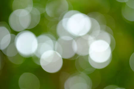 Bokeh of light nature,blured background,de focusの写真素材